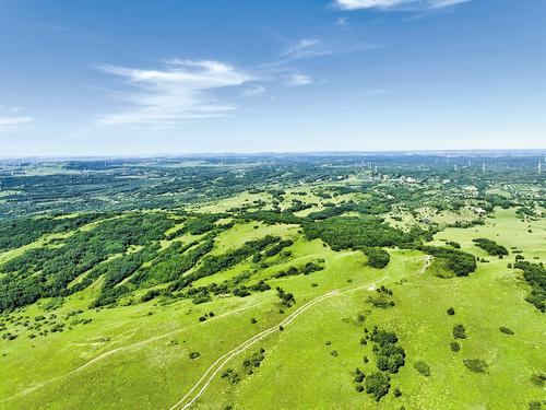 股份制造林激发山场活力